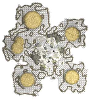 Splatoon Raiders Baygull Beach Map (top view)